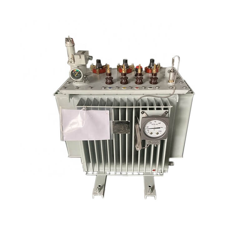 3 Phase 33kV 100kVA Oil Immersed Distribution Transformer