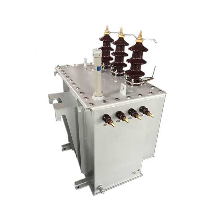 3 Phase 33kV 100kVA Oil Immersed Distribution Transformer